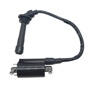 คอยล์จุดระเบิด QJ250GY2-2235 สำหรับรถมอเตอร์ไซค์เบเนลลี 250 สูบเดียว อะไหล่ทดแทน - Product Image 1