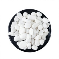 Galets de rivière blancs comme neige BOYA STONE, 0,4-1,2 pouces, écologiques, durables, pour jardinières, aquariums et présentoirs décoratifs