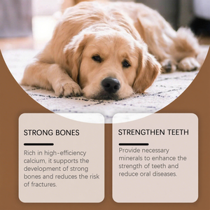 OEM ODM Pet diş sağlık ve kemik geliştirme takviyeleri köpekler kediler için D3 C B2 kalsiyum tabletler vitamini balık ve sığır - Product Image 3