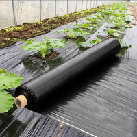 UV-bestendige zachte composteerbare biologisch afbreekbare kasfolie rol 20/25/30 micron dikte voor watermeloen- en maïslandbouw
