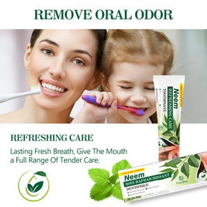 Pasta Dental de Neem de Marca Blanca con Aceite de Menta Negra para Aliento Fresco y Dientes Más Fuertes, Fabricante de Pasta Dental Herbal Oral para Eliminar la Sarro - Product Image 4