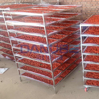 Commerciële dehydrator voor fruit en groenten, tomaten, vijgen, abrikozen, dadels; was-, droog- en verwerkingslijn