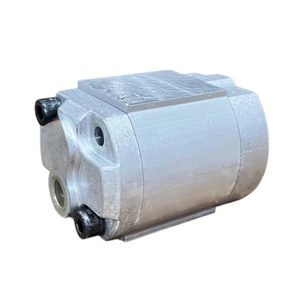 Bomba Hidráulica de Engranajes Avanzada Serie 10A 10A4.2X488 10A4.7X488 10A5X488 Bomba Hidráulica de Desplazamiento Fijo 10A4.7X488 - Product Image 3