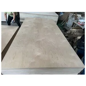 Wholesale Customized Laminated Marine 3Mm18 Mm Baltic Birch Plywood 12X20 24X24