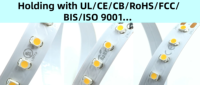 Bande LED SMD2835 LongRun 48V, 70 m/rouleau, blanc uni, 144 LED, lumière uniforme, options CE/CB/étanche pour la décoration extérieure