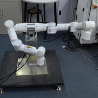 Robot de 7 Ejes con Doble Brazo, Inteligente, Desarrollo Secundario, Convertible Humanoide, para Investigación y Ensamblaje, Disponible para Laboratorios y Líneas de Producción