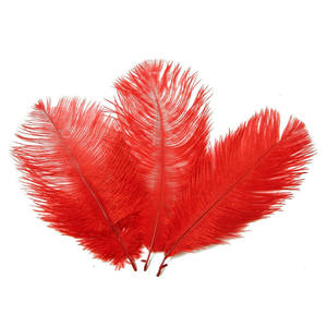 Pabrik Grosir 10-12 Inci (25-30Cm) Dekorasi Bulu Alami Berwarna Bulu Burung Unta dengan Harga Murah untuk Pernikahan Wal Dekorasi - Product Image 4