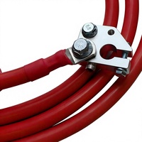 Cable de Silicona Rojo y Negro Personalizado, 8AWG-2/0 AWG, Cable de Conexión Flexible para Batería, Ensamblaje para Camiones, BESS, RV, Industrial