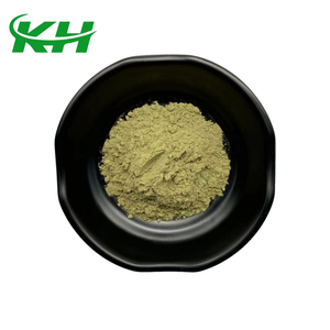 Estratto di Cavolo Verde in Polvere di Alta Qualità per Alimenti, Estratto di Cavolo Verde Biologico in Polvere 10:1 - Product Image 3