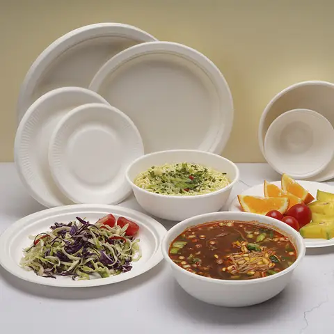 Disposable Soup Bowls - Bagasse 12 oz & 30 oz Pulp Bowl