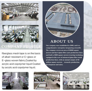 Filet en plâtre en fibre <span class=keywords><strong>de</strong></span> verre filet en fibre <span class=keywords><strong>de</strong></span> verre résistant au <span class=keywords><strong>feu</strong></span> maille en fibre <span class=keywords><strong>de</strong></span> verre pour le plâtrage - Product Image 6