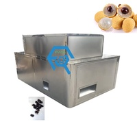 Hoge Efficiëntie Vruchten Abrikoos Stoner Machine Olijf Core Pruim Steen Verwijderen Fruit Pitting Machine