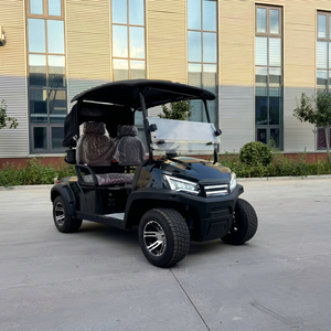 Carrito de Golf Eléctrico Chino Barato de 2 Plazas - Product Image 1