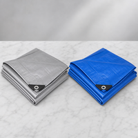 Bâche en PE tissé enduit 100 % imperméable et anti-vieillissement, disponible en gros pour piscine, bateau, abri de voiture et toiture