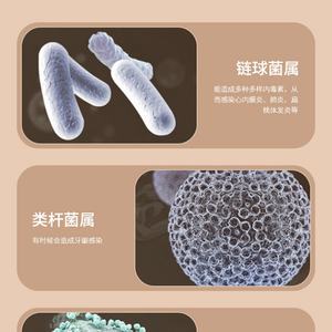 Nouvel Arrivage : Nettoyeur Ultrasonique UV Portable Domestique pour Cuir, Bracelets de Montre Connectée, Écouteurs, Coques de Téléphone, Pièces de Monnaie, Clés et Casquettes - Product Image 6