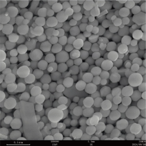 <span class=keywords><strong>Microscopio</strong></span> Electrónico de Barrido de Emisión en Campo BestScope BDEM-25, Resolución <2nm, Ampliación 500000X, FESEM - Product Image 5