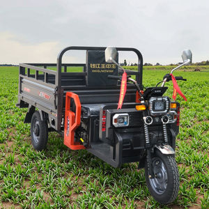 2025 3 ruedas motocicleta eléctrica coche 45 km/h <span class=keywords><strong>Moto</strong></span> coche <span class=keywords><strong>lateral</strong></span> para adultos 60V uso de pasajeros <span class=keywords><strong>Triciclo</strong></span> de carga motorizado - Product Image 2