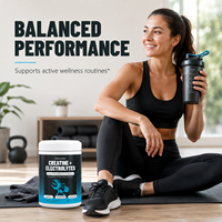 Poudre de supplément d'hydratation au citron et au citron vert pour adultes, 300g – Mélange d'électrolytes et de créatine monohydrate pour le soutien de l'entraînement – Usine ODM/OEM