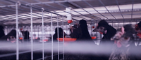 Cage à poulets automatique en acier de type H, cage à poulets à plusieurs étages, équipement d'élevage pour la collecte des œufs, l'alimentation et l'abreuvement, 3 à 6 étages