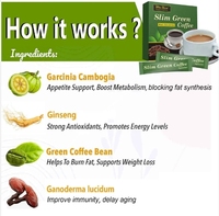 Poudre de café vert instantané amincissant naturel, très vendue, pour la perte de poids et le contrôle du régime chez l'adulte
