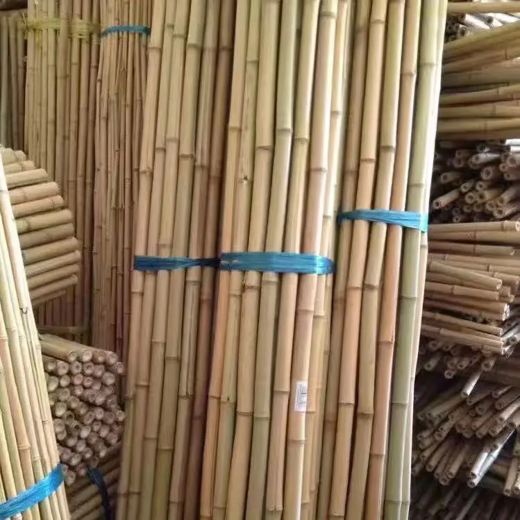 Inşaat yapı dekorasyon bambu kamışı bambu direkleri bahçe/çatı/ev