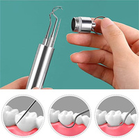 Ensemble de cure-dents en acier inoxydable, outils de nettoyage buccal portables, artefact de soie dentaire en plein air pique-nique Camp cure-dents réutilisable