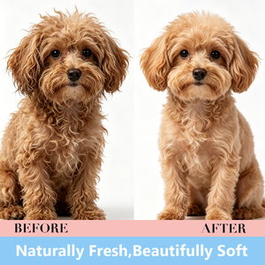 Parfum pour chien à label privé, longue durée, parfum doux, élimination des odeurs, hypoallergénique, sûr, désodorisant - Product Image 2