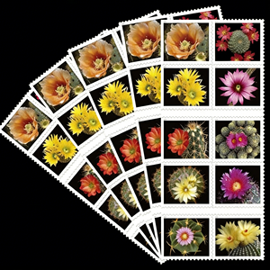 2020 Garden Corsage 2020 Contemporary Boutonniere Us Postage Floral Forever Mail 5 feuilles de 100 timbres autocollants Stock local - Product Image 2