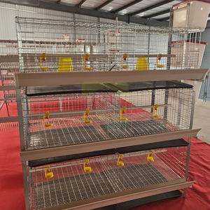 Cage à poulets de type H économique, cage galvanisée, équipement d'élevage avicole automatique pour les petites et moyennes exploitations - Product Image 2