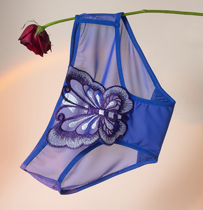 Braguitas de Encaje Sexy de Talla Grande para Mujer, Estilo Bikini, Tejidas, de Tiro Bajo, Encantadoras, Transparentes y con Malla - Product Image 5