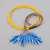 Pigtail de Fibra Óptica Monomodo de 24 Hilos con Cubierta de PVC/LSZH, Conectores SC/FC/LC Codificados por Color para FTTH, 1 Año de Garantía