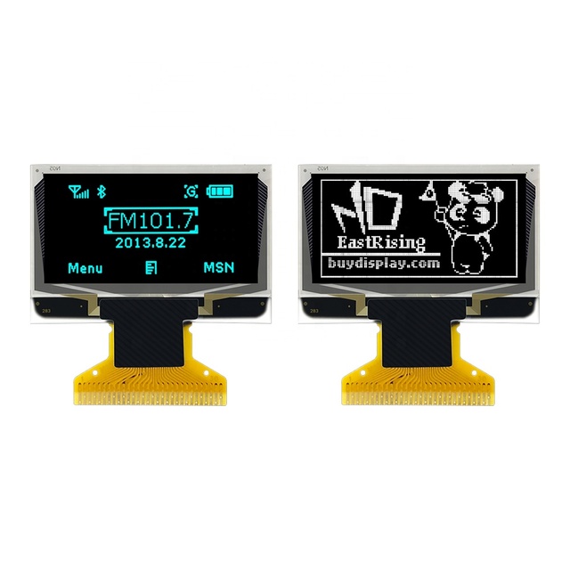 1.3 Inch PMOLED Mini OLED Monitor Screen 128x64 Monochrome Passive Matrix SSD1106 Compatible for Raspberry Pi E-Paper