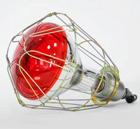 Lampes chauffantes modernes en aluminium pour volailles avec abat-jour pour poulailler, utilisation en ferme, installation facile, garantie 5 ans