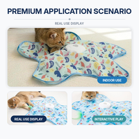 Tapis de jeu pliable pour chatons avec rouleau à plumes, type C, pliable, jouet pour chat OEM ODM, nouveautés