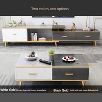 Ensemble de meuble TV et table basse extensible en bois, design nordique moderne et luxueux, disponible en différentes couleurs pour le salon