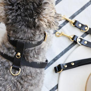 Harnais pour chien Fullto Premium en cuir PU rouge réglable pour des promenades confortables - Product Image 6