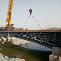 Kits de Estructura de Acero para Puentes Arqueados con Vigas de Caja Prefabricadas Modernas Estándar Europeo, Diseño de Modelo 3D