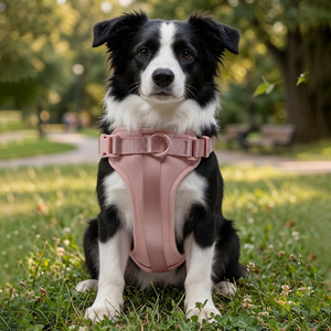 Arnés para Perro Muker 2026 con Diseño Mejorado y Liberación Rápida, 16 Colores Disponibles, Arnés de Pecho para Perros, para Pasear Perros, con Logotipo Personalizado - Product Image 6