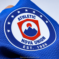 Étiquette en silicone 3D en relief sérigraphiée, autocollant en vinyle thermocollant, étiquette de vêtement lavable, patch de football thermocollant, patch de bras