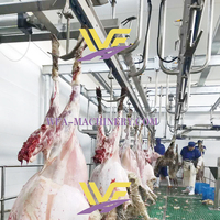 Opération facile 100 moutons par machine de traitement de mouton d'usine d'équipement d'abattage d'heure pour l'abattoir de chèvre