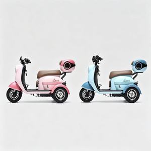 Fábricas Chinas Suministran Directamente Triciclos Eléctricos de Tres Ruedas para Personas con Discapacidad, Así como Triciclos de Tres Ruedas para Adultos - Product Image 3