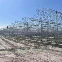 Solution clé en main de serre commerciale multi-voûtes en film pour la culture hydroponique de tomates, laitues et fraises