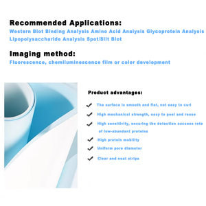 Membrane de transfert IKEME PVDF NC en nitrocellulose 0,22 µm 0,45 µm pour transfert de protéines de poids moléculaire élevé en <span class=keywords><strong>laboratoire</strong></span> (Western Blot) - Product Image 3