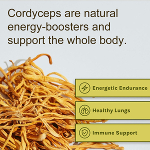 Cápsulas de extracto de Cordyceps Sinensis orgánicas de primera calidad, suplemento de apoyo inmunológico, potenciador de ATP, regeneración <span class=keywords><strong>celular</strong></span>, mujeres embarazadas - Product Image 4