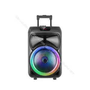 High Quality 12-Inch Wireless Trolley Woofer Speaker RGB LED Lighting Plastic Material DC Karaoke 1000W AUX Home Theater Use