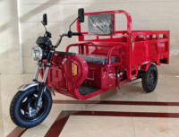 Tricycle électrique Chongqing Cheetah Power ATV - 2026, 2 places, capacité de 400 kg, pour adultes