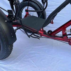 4oem ba bánh xe đạp khác xe đạp nằm xe đạp velomobile chất béo lốp ba bánh - Product Image 5