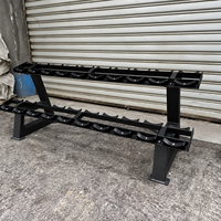 Support de rangement double niveau pour haltères SK-B43 (8 paires) – Équipement de gym commercial pour l'entraînement de force