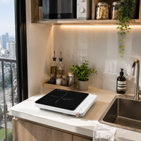 Table de cuisson à induction portable 2000W avec commande tactile et bouton rotatif, 9 niveaux de puissance, minuteur numérique pour la vente en gros d'appareils de cuisine thaïlandais