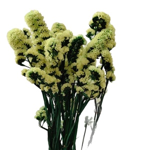 Bouquet de fleurs séchées et préservées, ne pas oublier-moi-pas éternel, accessoires de décoration intérieure, marque écologique, Qixi, Saint-Valentin - Product Image 5